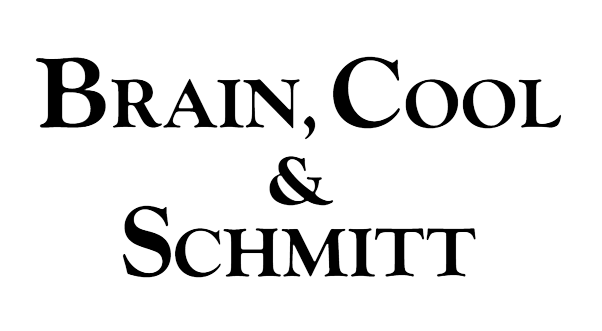 Brain, Cool & Schmitt UG (haftungsbeschränkt)