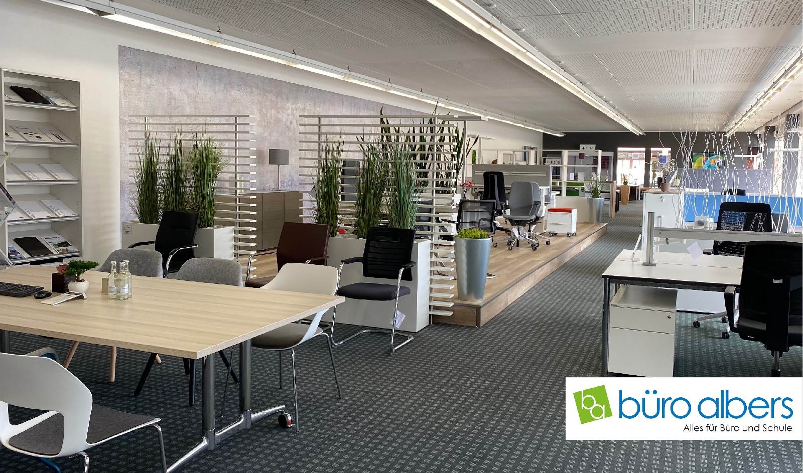Büro Albers Gmbh & Co Kg Meppen